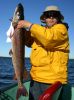Filename : frankladenorthernpike.jpg
Filesize : 47KB
Dimensions : 400x539
Date added : Sep 26, 2005 frankladenorthernpike.jpg