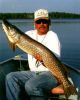 Filename : northern3.jpg
Filesize : 24KB
Dimensions : 364x450
Date added : Sep 24, 2005 northern3.jpg
