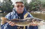 walleye1.jpg