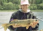 Filename : walleye3.jpg
Filesize : 49KB
Dimensions : 450x320
Date added : Oct 04, 2005 walleye3.jpg