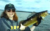 Filename : walleye4.jpg
Filesize : 28KB
Dimensions : 450x281
Date added : Oct 04, 2005 walleye4.jpg