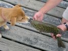 Filename : 1~0.jpg
Filesize : 340KB
Dimensions : 640x480
Date added : Aug 16, 2009 1~0.jpg