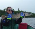 Filename : Amy_33in.JPG
Filesize : 316KB
Dimensions : 939x768
Date added : Jun 25, 2006 Amy_33in.JPG