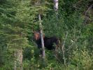 DeJong & Pinegar Aug 2008 044-e.jpg