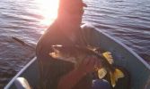 Filename : Fitzsimons.JPG
Filesize : 53KB
Dimensions : 408x244
Date added : Dec 30, 2011 Fitzsimons.JPG