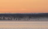 Gawley_s Bay fog.jpg