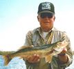 Filename : Glen - 20 inch Walleye.jpg
Filesize : 22KB
Dimensions : 271x250
Date added : Oct 06, 2005 Glen - 20 inch Walleye.jpg