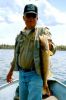 Filename : Glen - 25 inch Walleye.jpg
Filesize : 28KB
Dimensions : 250x375
Date added : Oct 06, 2005 Glen - 25 inch Walleye.jpg