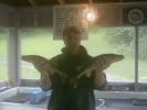 Filename : Grady15-e.jpg
Filesize : 250KB
Dimensions : 640x480
Date added : Aug 27, 2009 Grady15-e.jpg