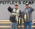 Filename : Walleye.jpg
Filesize : 23KB
Dimensions : 301x250
Date added : Oct 04, 2005 Walleye.jpg