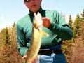 Bob - 24 inch Walleye