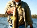 Glen - 22 inch Walleye