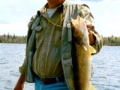 Glen - 25 inch Walleye