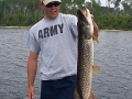 Krocak northern