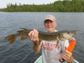 Norman8
