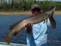 Peffley_s patron with large pike8