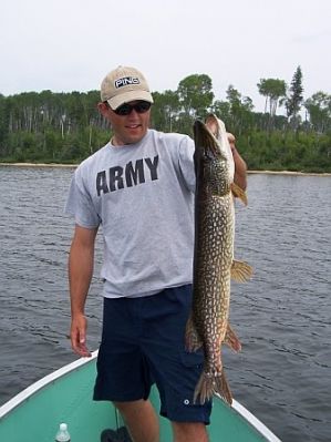 normal_Krocak northern