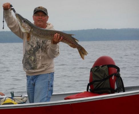 normal_Steve_s Northern 2014