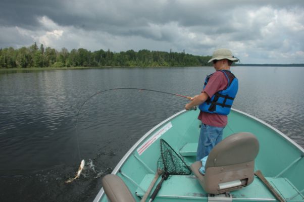 normal_Tippin2009_011