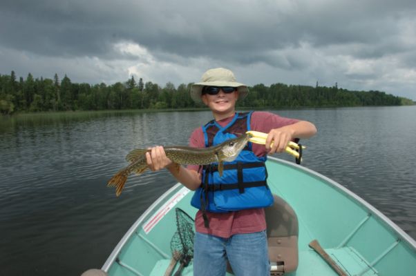 normal_Tippin2009_012