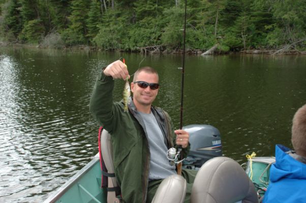 normal_Tippin2009_014
