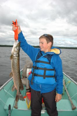 normal_Tippin2009_015