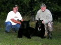 normal_Bear Kills 001-e~0