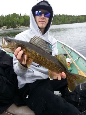 normal_VG12